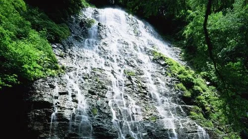 电子高标准智能
